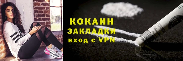трава Арсеньев