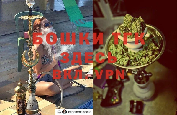 трава Арсеньев