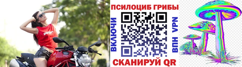 Псилоцибиновые грибы MAGIC MUSHROOMS  Ленск 